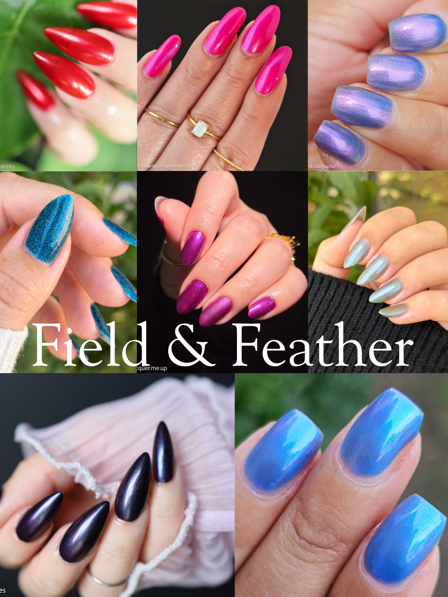 Field and Feather