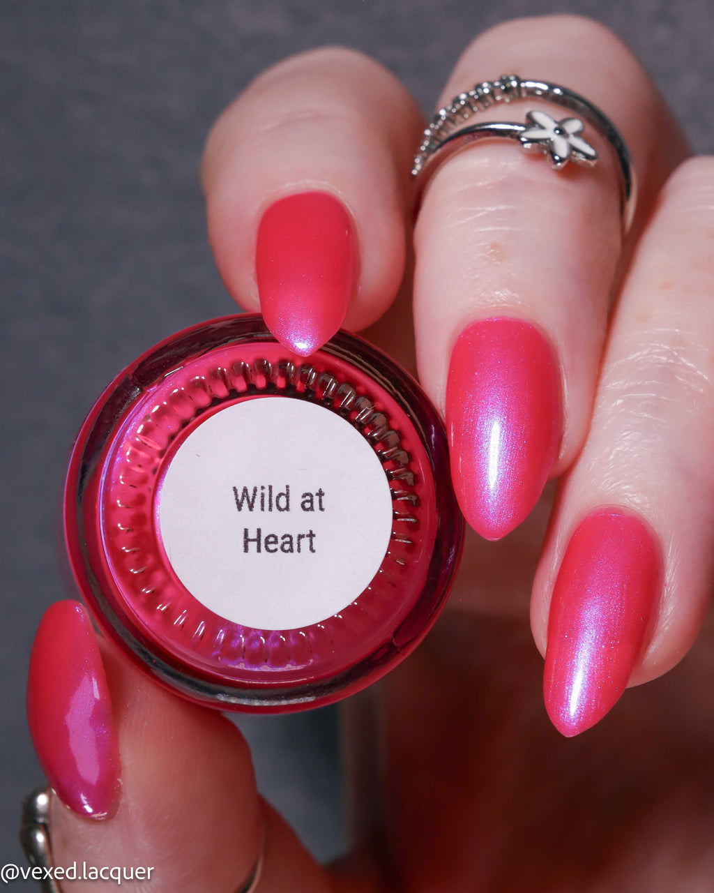 Wild at Heart